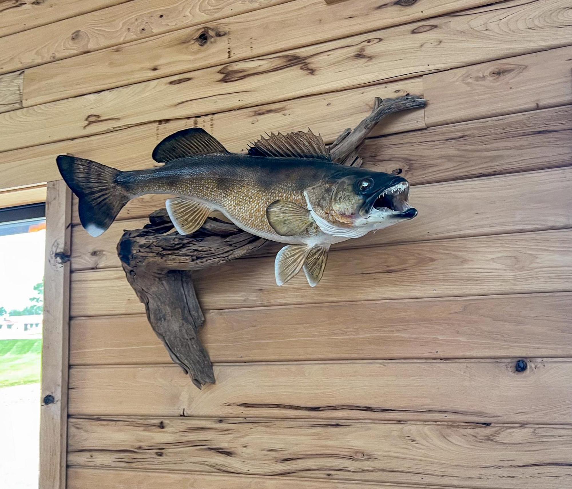 Walleye Inn Baudette Esterno foto
