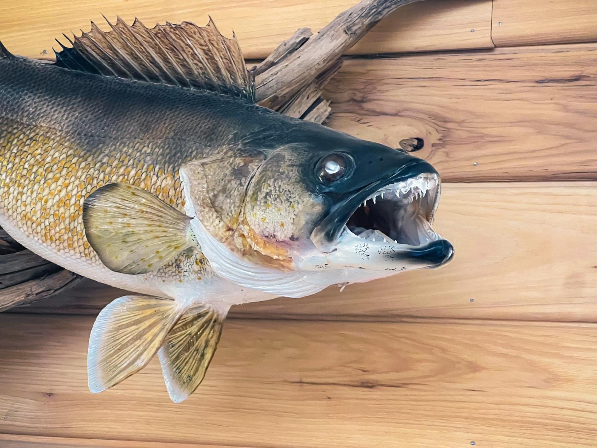 Walleye Inn Baudette Esterno foto